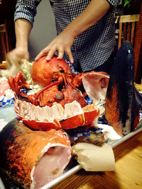 17 pound lobster king