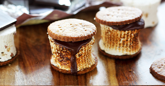 19 Delicious S’mores Recipes You And Your Friends Will Love